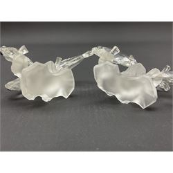 Swarovski Crystal sea creatures, comprising lion fish and dolphin, both with coloured elements, together with two seahorses, two small fish groups, butterfly fish, longnose butterfly fish and six coloured shells, tallest H8.5cm