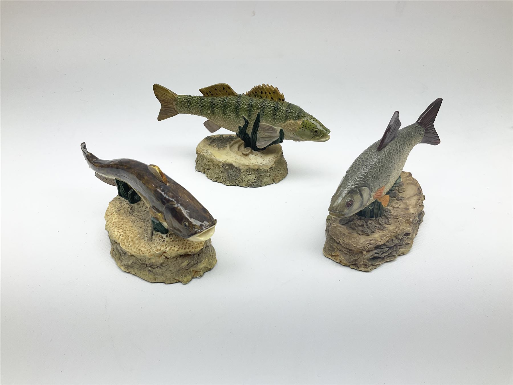 Twenty Four Danbury Mint models of fish, The Angler's Showcase, each with accompanying information card, in wooden wall mounted display shelf, with title plaque, display shelf H61cm L54cm