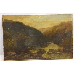  'The Dart near Buckfastleigh', 19th century oil on canvas signed and dated 1868 C Smith, titled signed and dated verso 33cm x 51cm (unframed)  