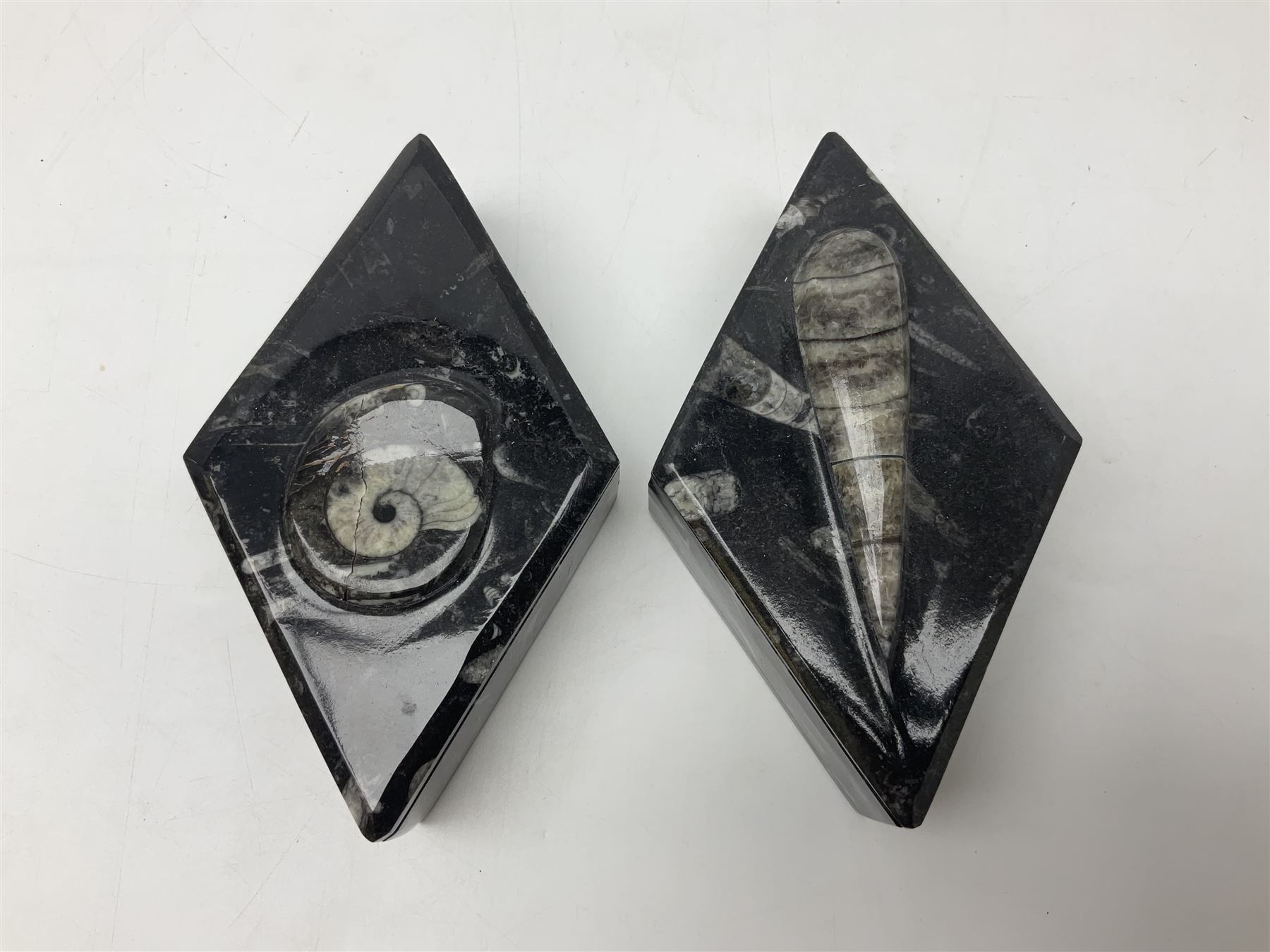Two boxes, each in the form of a diamond with Orthoceras and Goniatite inclusions, the first with a raised Orthoceras to the lid, the second with a raised Goniatite to the lid, age: Devonian period, location: Morocco, L17cm, H5cm 
