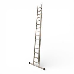 Werner Pro Extending double ladders, 4.24m