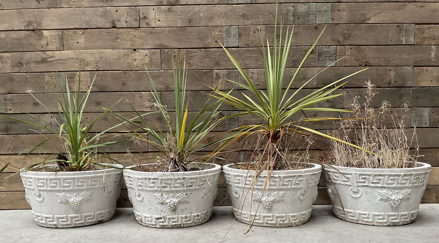 Set of four white painted cast stone circular planters
