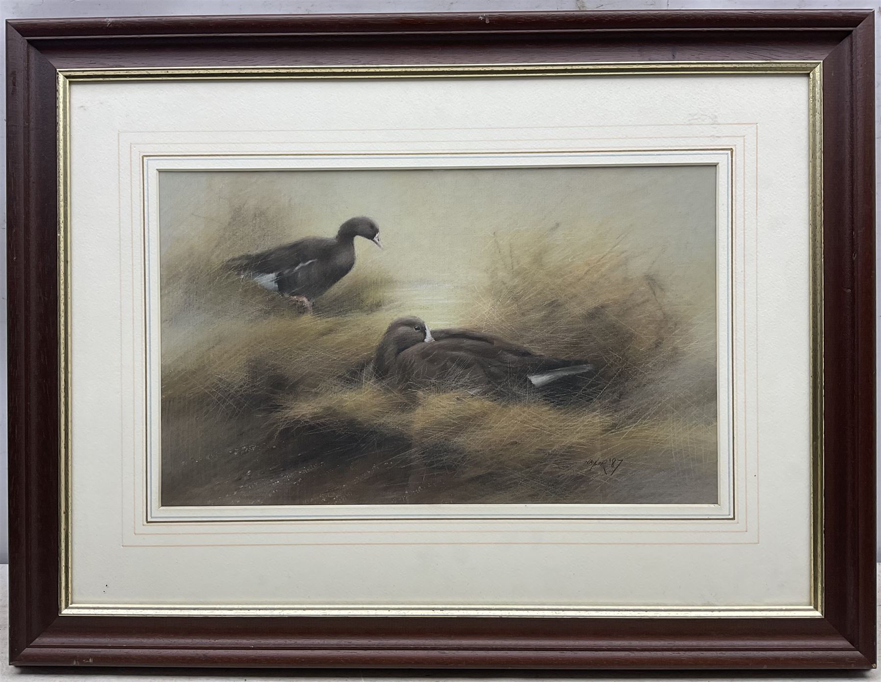 John Naylor (British 1960-): Two Ducks, pastel signed and dated '87, 26cm x 43cm 