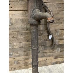 19th century cast iron water pump, lion crest with registration mark