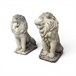 Pair of cast stone garden lions, seated on rectangular plinths