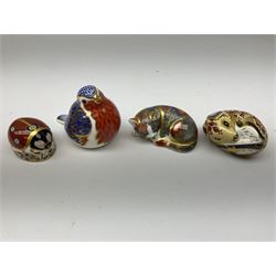 Four Royal Crown Derby paperweights, comprising Catnip Kitten, Ladybird,  Door Mouse and Robin, all with gold stoppers