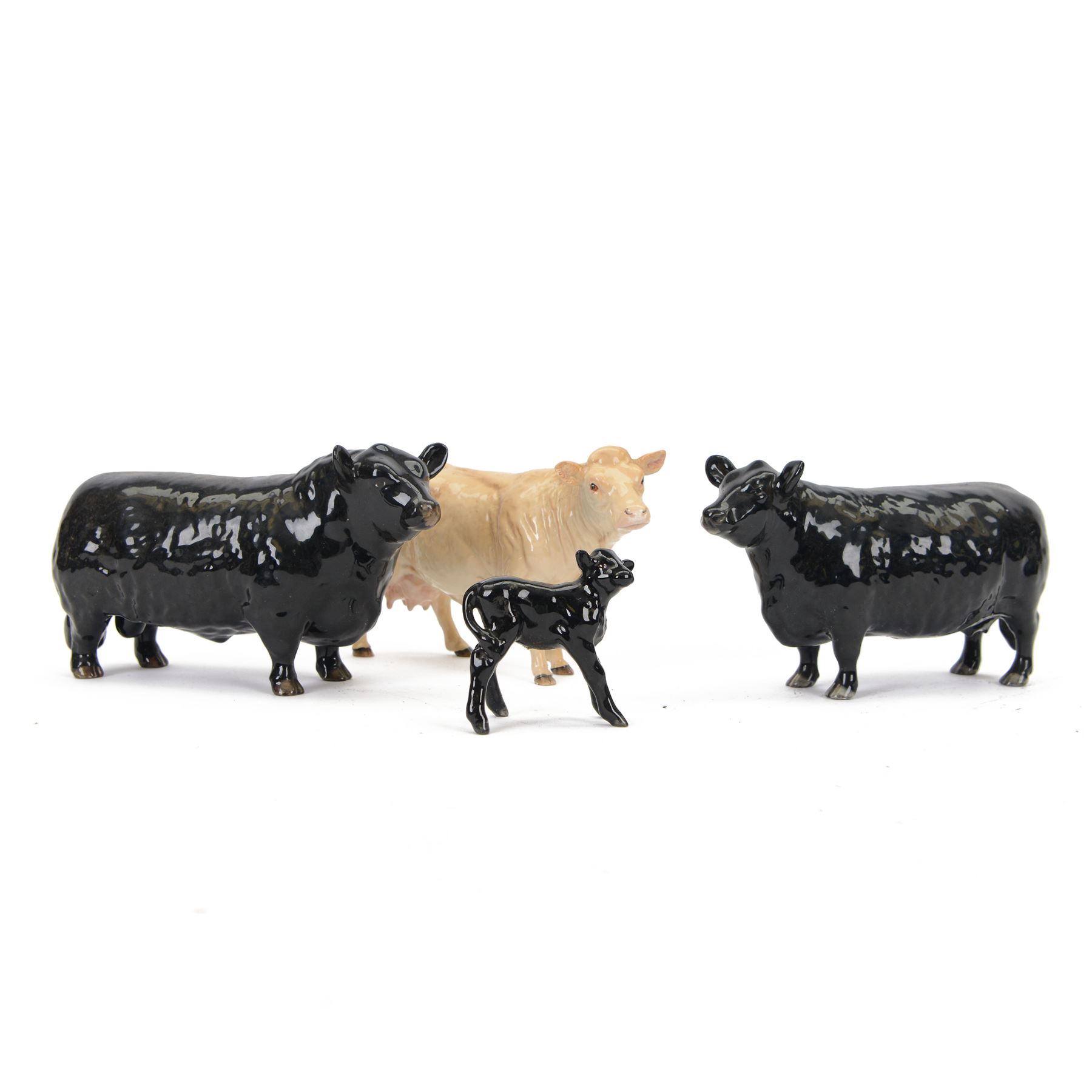 Four Beswick cattle figures, comprising Aberdeen Angus family; Bull, model 1562, Cow, model 1563 and Calf model 1249 and Charolais Cow model 3075