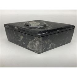 Two boxes, each in the form of a diamond with Orthoceras and Goniatite inclusions, the first with a raised Orthoceras to the lid, the second with a raised Goniatite to the lid, age: Devonian period, location: Morocco, L17cm, H5cm 