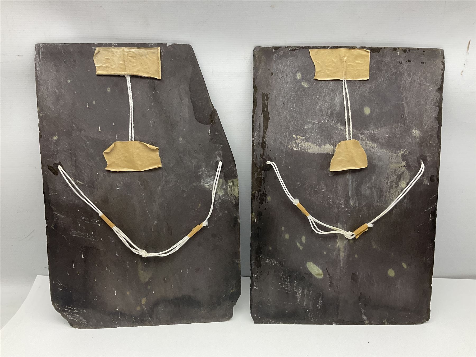 Michael J Whitehand (British 1941-): Three oil paintings of ships on slate signed, largest H40cm, L75cm