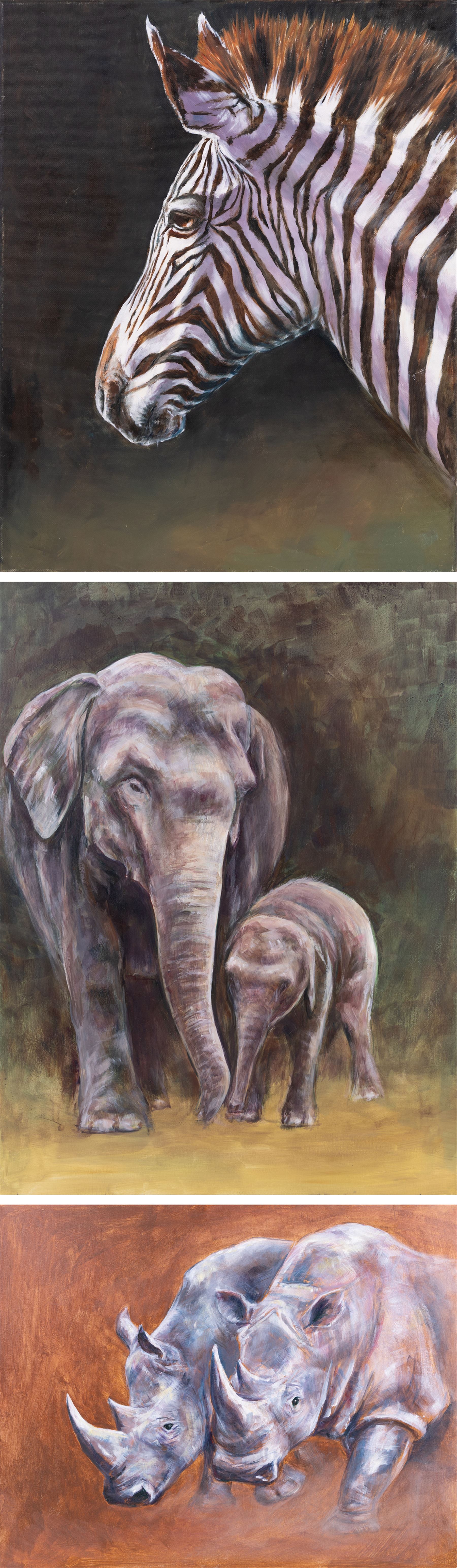 Continental School (Contemporary): Rhinos Elephants and a Zebra, set of three portraits unsigned, max 60cm x 76cm (two unframed)