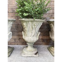 Set of four Victorian design cast stone Grecian urns, tapering form cast with figures and handles, square plinth bases