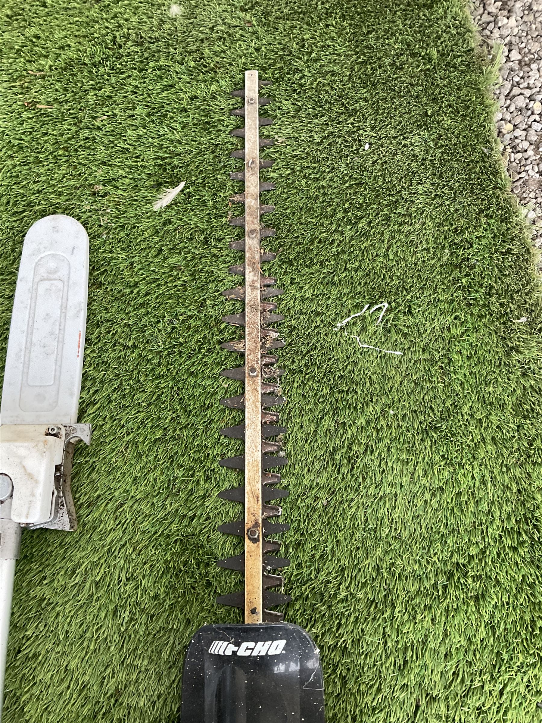 Petrol GCMT262 telescopic hedge trimmer and Echo HCR-171ES hedge trimmer  - THIS LOT IS TO BE COLLECTED BY APPOINTMENT FROM DUGGLEBY STORAGE, GREAT HILL, EASTFIELD, SCARBOROUGH, YO11 3TX