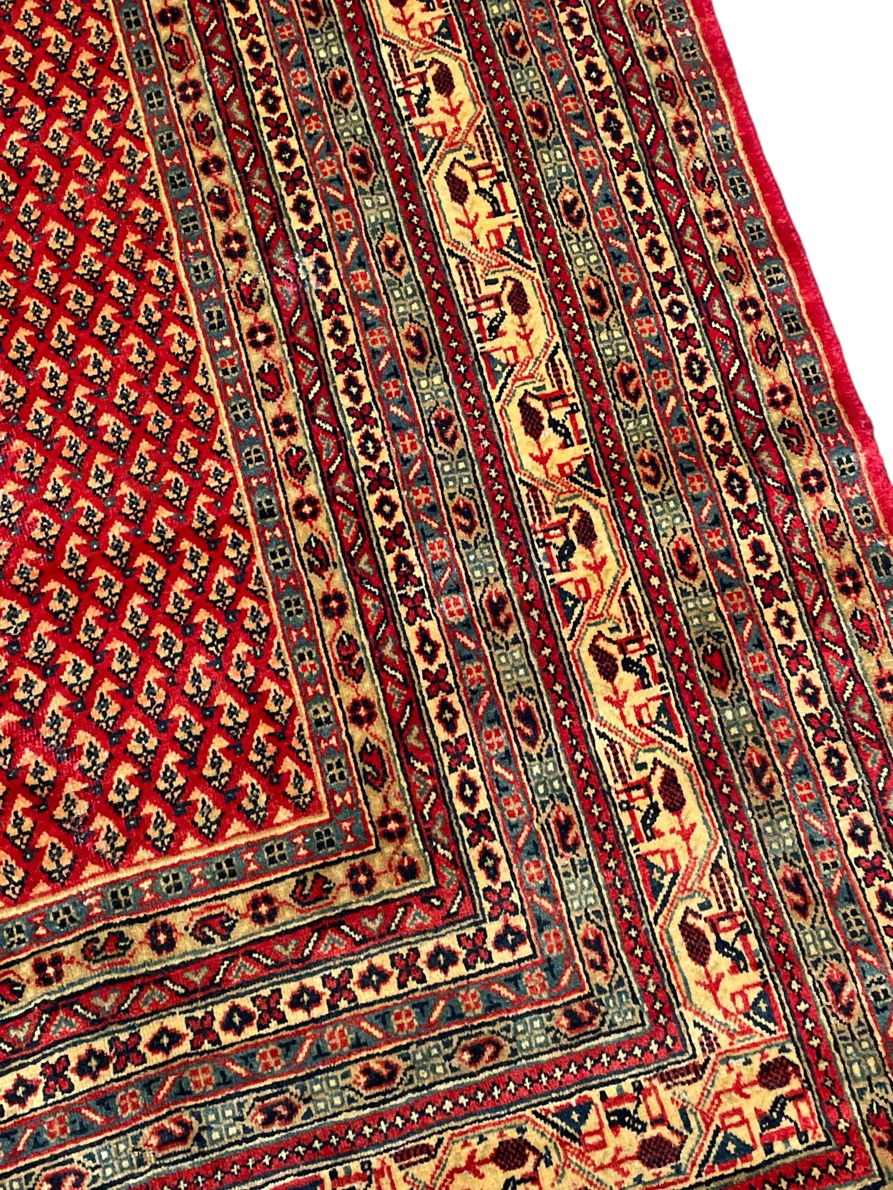 Persian Arak crimson ground carpet, the field decorated profusely with small repeating Boteh motifs, enclosed by multiple border bands decorated with repeating geometric and hook motifs