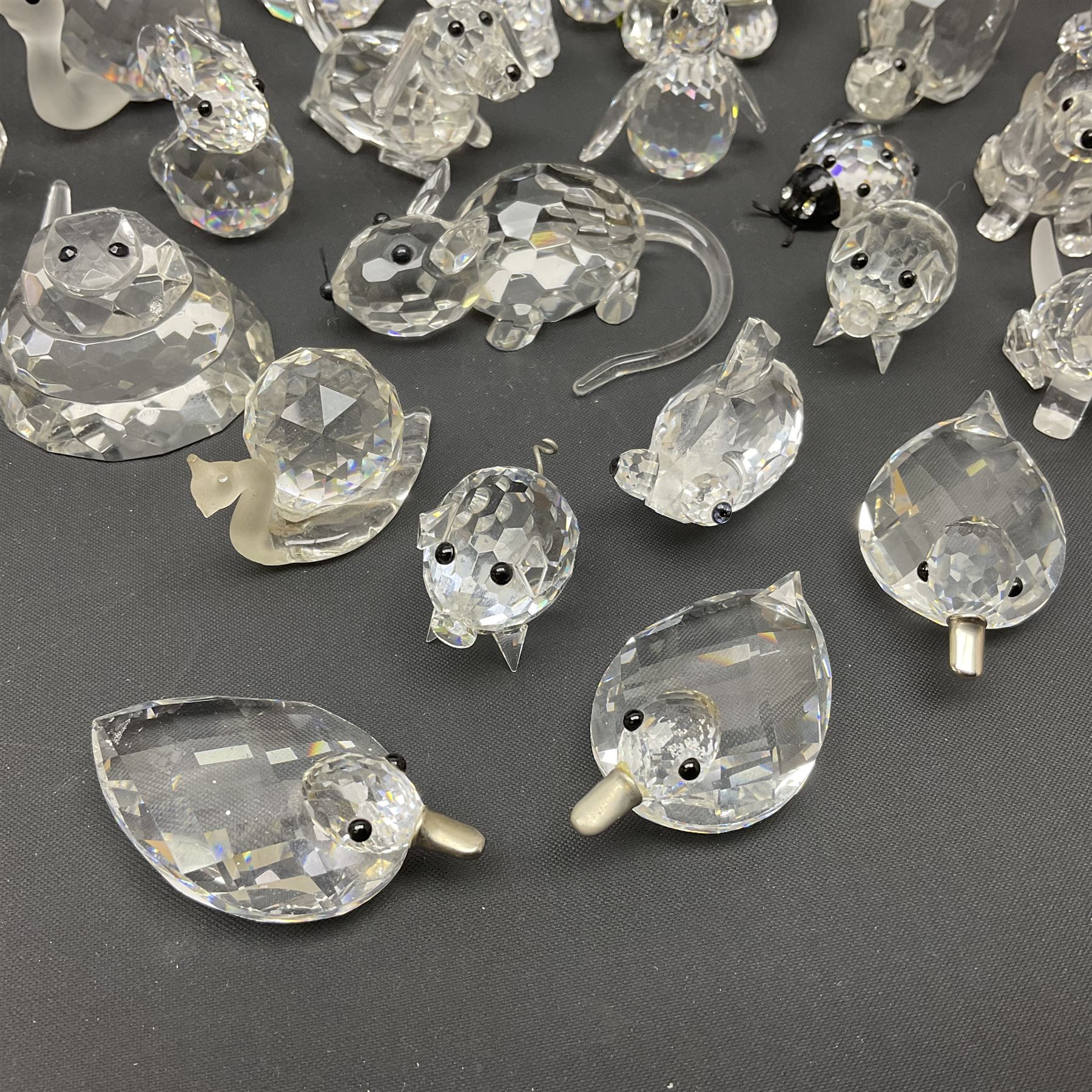 Collection of Swarovski Crystal animals, to include hedgehogs, snails, birds, mice and snakes, etc
