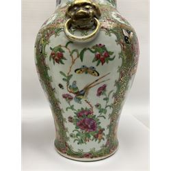 Pair of 19th century Chinese Famille Rose vases and covers, each of baluster form with twin gilt lion mask ring handles to shoulders, the flattened domed covers with gilt temple lion finials, each decorated with alternating reserves of bijin and attendants, and birds and butterflies amongst blossoming peonies, against a gilt ground profusely decorated with stylised scrolls, H32.5cm