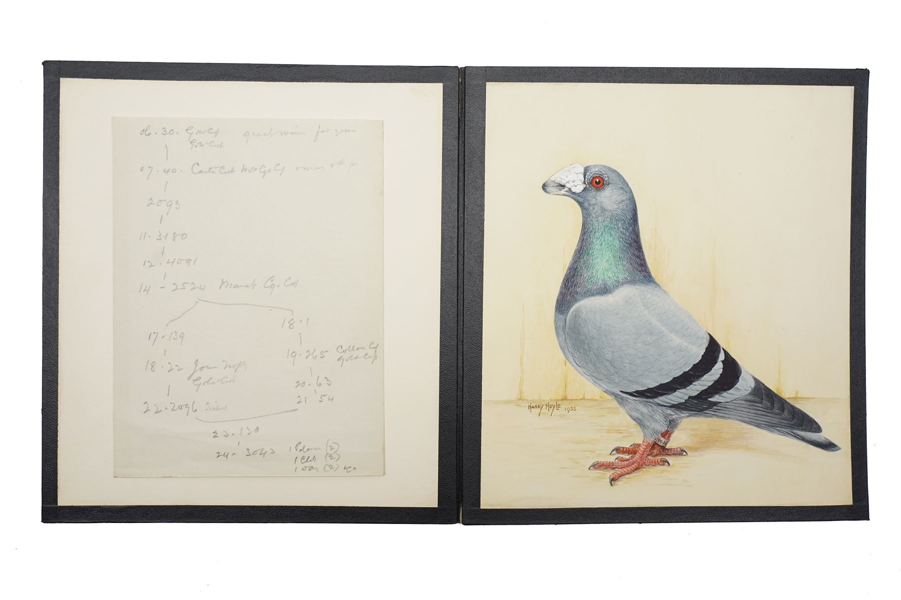 Harry Hoyle (Early 20th Century): Racing Pigeons - 'Blue Dragoon Cock 06-30' 'Blue Dragoon Hen 33-3330' and 'Blue Dragoon Cock 1918-22', set of three pencil and watercolours heightened with white, each signed and dated 1933 or 1934, accompanied with the winning history of each pigeon, each approx. 20.5cm x 18cm (3)