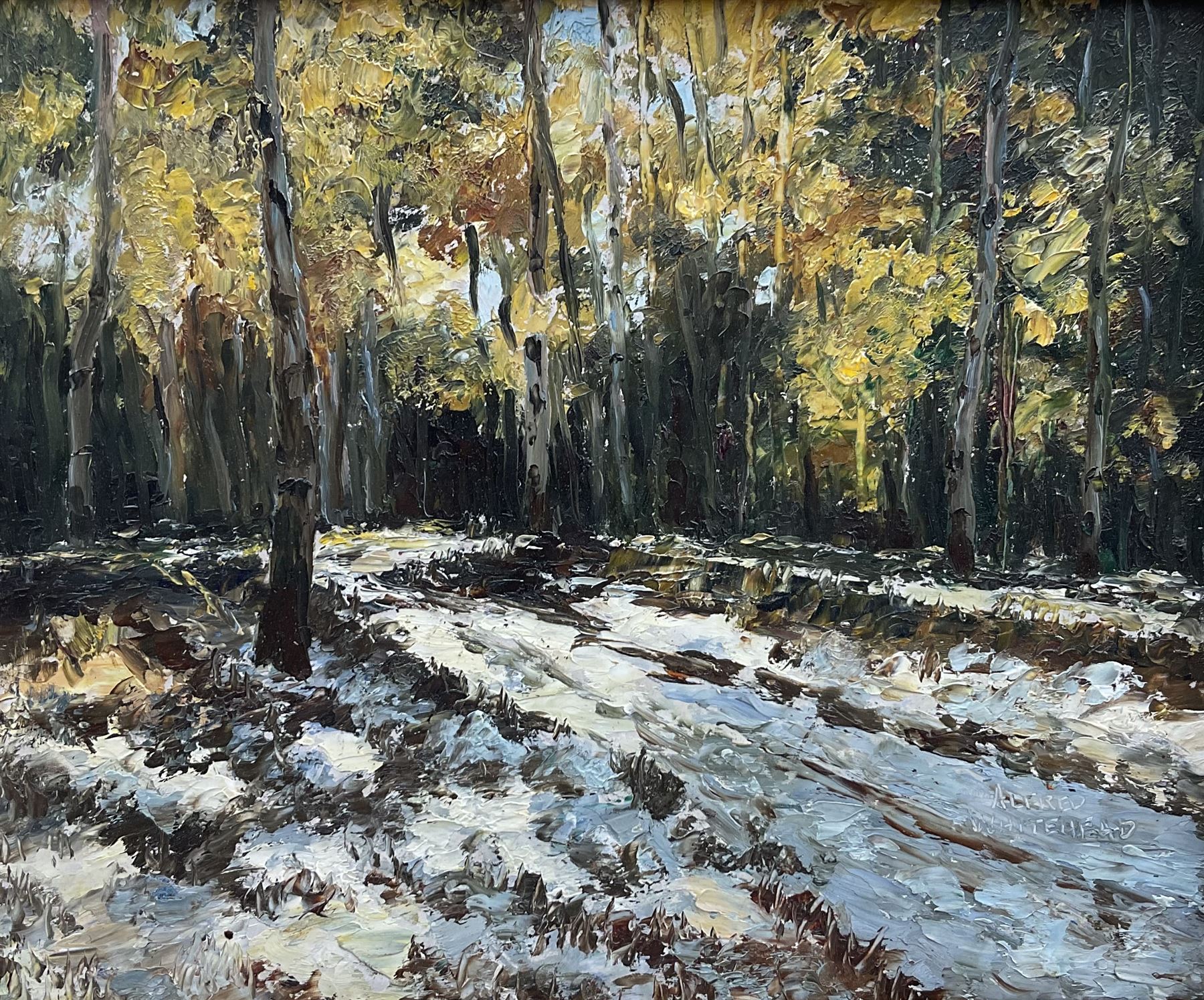 Alfred Whitehead (Canadian 1887-1978): Snowy Forest, oil on board signed 24cm x 29cm