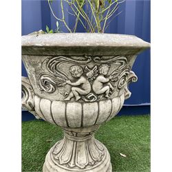 Stone effect campana shaped garden urn/planter, the body decorated in relief with cherubs and scrolls, planted  - THIS LOT IS TO BE COLLECTED BY APPOINTMENT FROM DUGGLEBY STORAGE, GREAT HILL, EASTFIELD, SCARBOROUGH, YO11 3TX