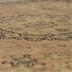 Persian Kashan style rug, salmon pink ground, central conforming lobed medallion in ivory and indigo, with palmette pendants, framed scrolling arabesques of lotus blossoms and palmettes, within navy border of meandering vines and flowerheads between ivory guard stripes 