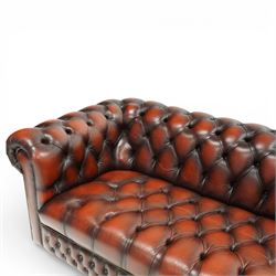 Late 20th century four seat Chesterfield sofa, upholstered in deep buttoned brown leather, with rolled arms, buttoned back and seat, studded detailing and squat feet