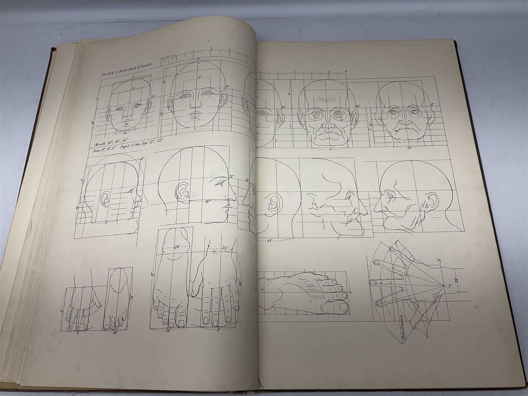 Muybridge, Eadweard; The Human Figure in Motion, London, Chapman & Hall Ld, Art, Wright, J Wright; The Sculpture and Art Students' Guide to the Proportions of the Human form, plates reproduced by John Sutcliffe, Luard L.D; Horse and Movement, London Cassell and Company ltd, with eight plates in colour and twenty-four in half-tone, together with other folious    