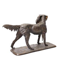 Bronze model of a setter with a pheasant in its mouth on naturalistic base H40cm x W62cm