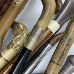 A collection of assorted walking sticks and canes, to include a number of examples with hallmarked silver mounts, examples with horn handles, one with handled modelled as the head of a dog, a bentwood example, etc. 