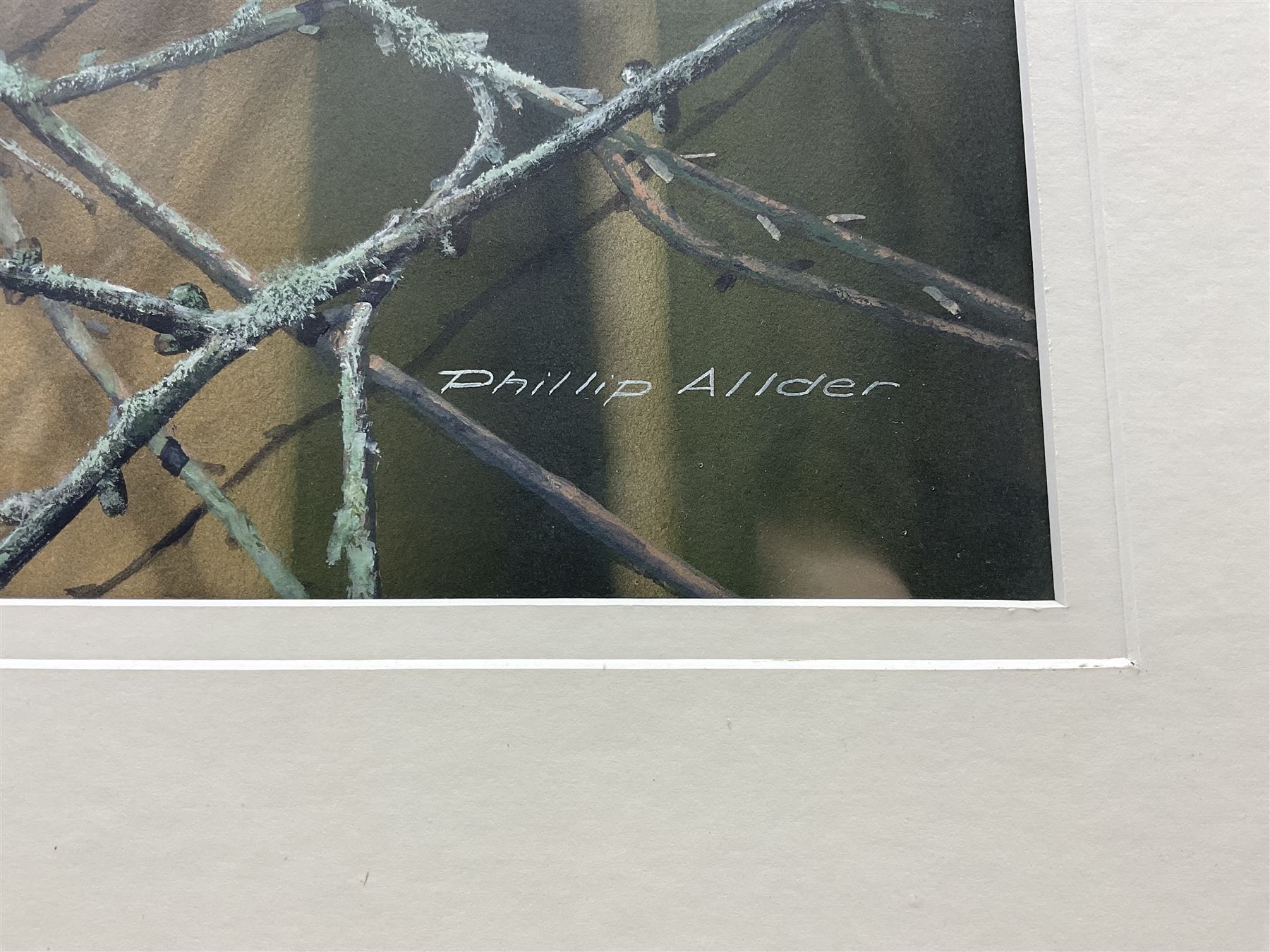 Phillip Allder (British 1950-): 'Red Squirrels', gouache signed 53cm x 75cm 
Provenance: from The Bell Hotel, Driffield