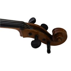 19th century cello, with two piece back, ebonised finger board and pegs, contained within Hiscox Lifelite case, cello back length 76cm