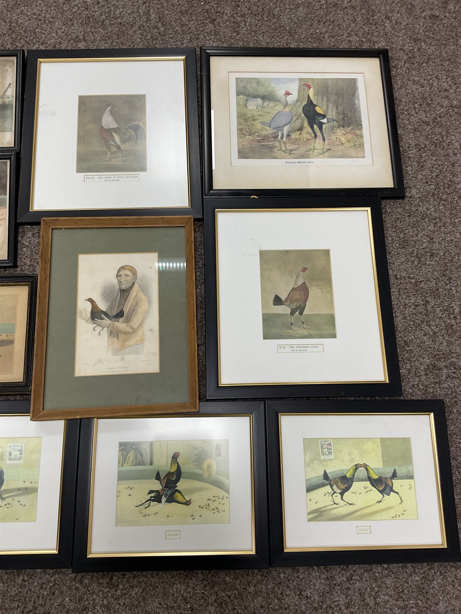 After Newton Fielding (British 1799-1856): Set of six 19th century cock fighting prints pub. Rudolph Ackermann, together with various later cock fighting prints