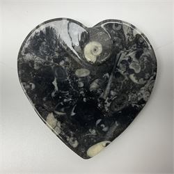 Dish in the form of hearts with a raised Goniatite to the centre and Orthoceras and Goniatite inclusions, age: Devonian period, location: Morocco