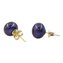 Pair of 9ct gold blue / purple cultured pearl stud earrings