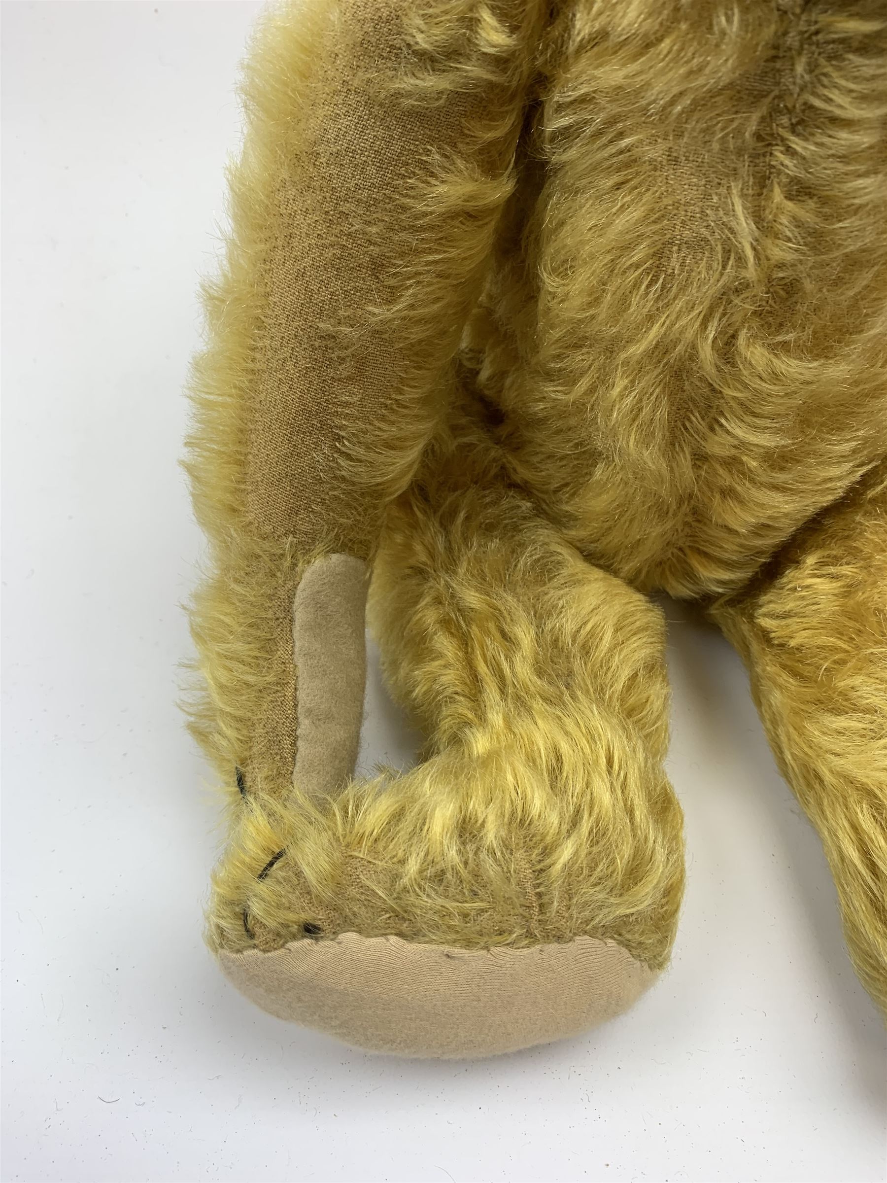 Early 20th century German teddy bear c1920, probably Steiff or Bing, with wood wool filled humped back golden mohair body, swivel jointed head with glass eyes and brown vertically stitched nose and mouth, jointed limbs with elongated arms and felt paw pads with black stitched claws H18