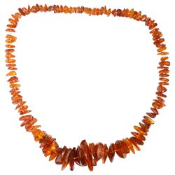 Baltic amber graduated chip / bead necklace 