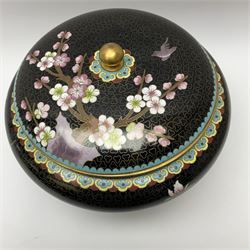A Japanese cloisonne jar and cover, of squat form decorated with prunus blossom and birds in flight upon a black ground, with pierced wooden stand, jar D24cm.