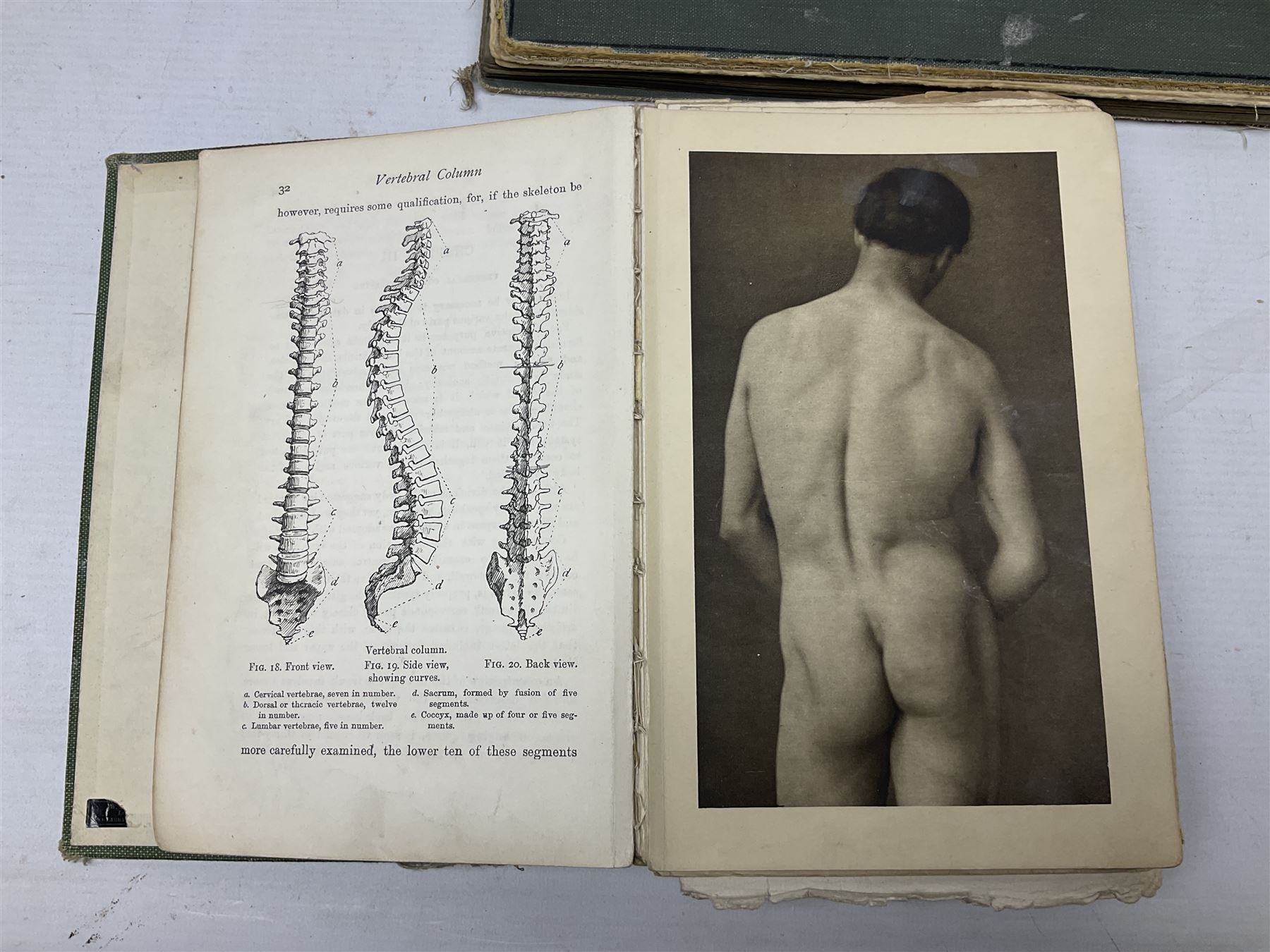 Muybridge, Eadweard; The Human Figure in Motion, London, Chapman & Hall Ld, Art, Wright, J Wright; The Sculpture and Art Students' Guide to the Proportions of the Human form, plates reproduced by John Sutcliffe, Luard L.D; Horse and Movement, London Cassell and Company ltd, with eight plates in colour and twenty-four in half-tone, together with other folious    