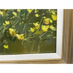 Dianne Elizabeth Flynn (Northern British 1939-): 'Languedoc Spring', acrylic on canvas signed 40cm x 50cm
Notes: Dianne was born in Huddersfield and studied at Huddersfield and Batley Schools of Art before graduating at Manchester in 1973. Painting in Languedoc and Tuscany she became a full time artist in 1976.