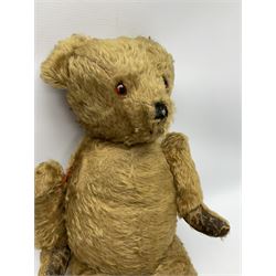 Mid-20th century plush covered teddy bear the revolving head with applied eyes, vertically stitched nose and jointed limbs with rexine pads H58cm; together with a leather backpack (2)