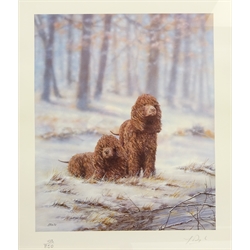  Labrador Swimming and Irish Water Spaniel, two limited edition colour prints signed and numbered in pencil by Paul Doyle and one other print max 57cm x 35cm (3)  