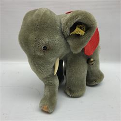 Five small Steiff animals - elephant with red sash and bells H16cm, dolphin with mottled red/yellow body, 'Tabby' cat with card name tag and bell, tortoise with vinyl carapace and penguin (5)