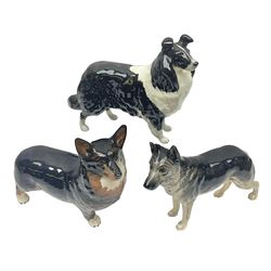 Three Beswick dog figures, comprising Corgi Black Prince 1299A, Sheep Dog 1792 and Ulrica of Brittas German Shepherd 969