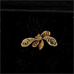 19th Century gilded toleware rectangular tray, decorated with floral sprig and insects, L41cm