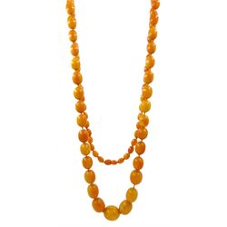 Single strand graduating oval butterscotch amber bead necklace