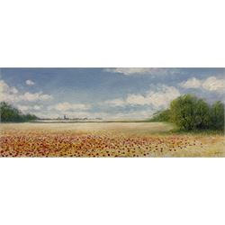 Mike Nance (British Contemporary): Field Landscape, acrylic signed 16cm x 38cm