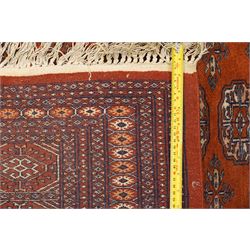 Bokhara hand-knotted carpet, terracotta ground with repeating rows of Tekke guls and geometric motifs, enclosed by multiple geometric borders, with silk highlights, fringed ends