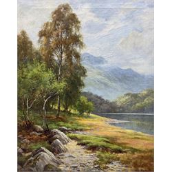 Sidney Valentine Gardner (Staithes Group 1869-1957): 'In the Trossachs', oil on canvas signed 50cm x 40cm