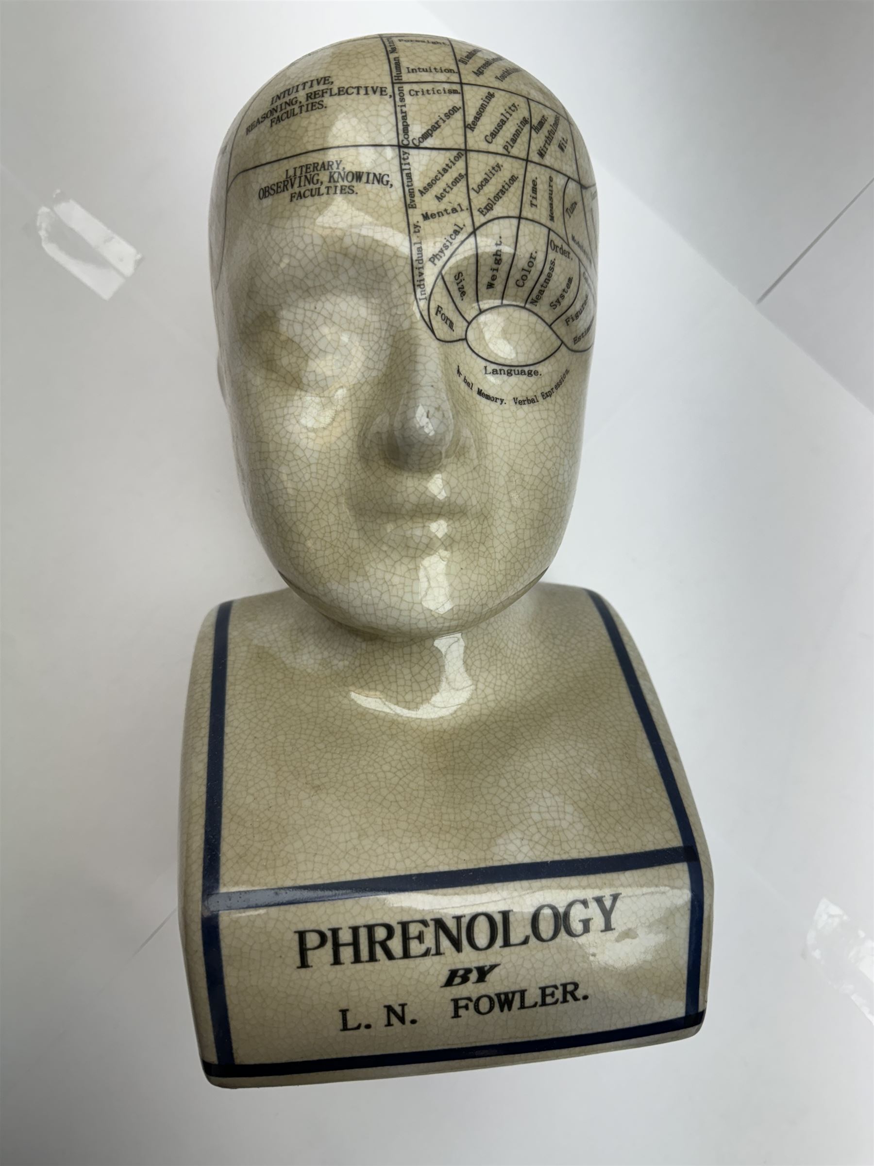 Phrenology head H29cm  and a Palmistry hand H28cm