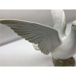 Four Lladro dove figures, comprising Taking Flight no 6288, Dove no 1015, Proud Dove no 6290 and Peaceful Dove no 6289, all with original boxes, largest example H20.5cm 
