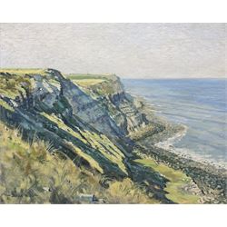 David Allen (British 1945-): 'Widdy Head - Near Whitby', oil on board signed, titled verso...
