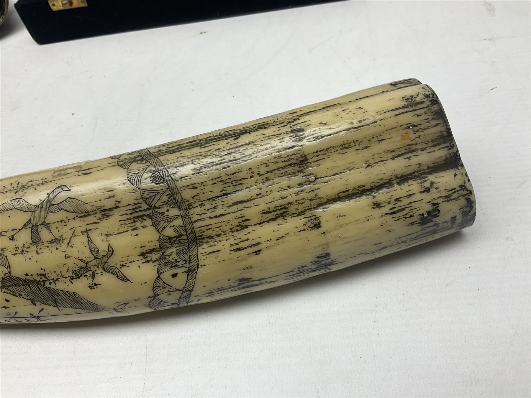 Horn handled magnifying glass and letter opener cased set, replica Scrimshaw in the form of a tusk titled The Ship Charles W Morgan New Bedford and pair of binoculars
